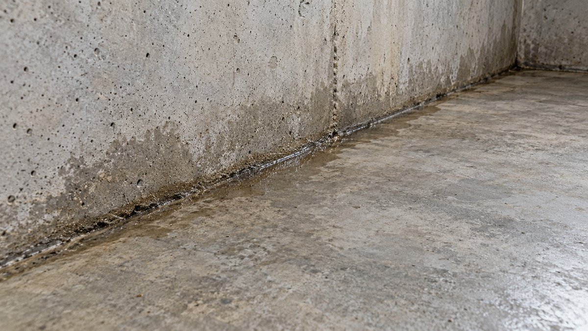 Close-up of moisture along the junction between a concrete basement wall and floor.